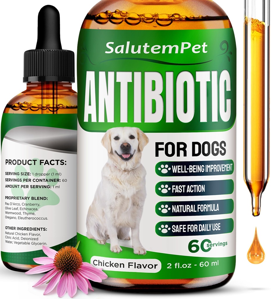 Antibiotiques naturels pour les chiens
