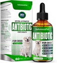 Antibiotiques naturels pour les chiens