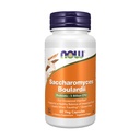 MAINTENANT Suppléments, Saccharomyces Boulardii, 5 milliards CFU Probiotique, 60 gélules