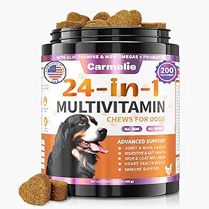 Vitamines de chien, 24 en 1 Vitamines de chien et suppléments 200 Chews avec des probiotiques de glucosamine Multivitamines de chien Omega-3 Chewable pour la hanche et l'articulation, la peau et le manteau, la santé immunitaire, digestif (Chicken)