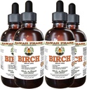 Birch Extrait liquide sans alcool, bouleau (Betula Alba) glycérite séchée glycérite Hawaii Pharm supplément naturel à base de plantes 4x4 oz