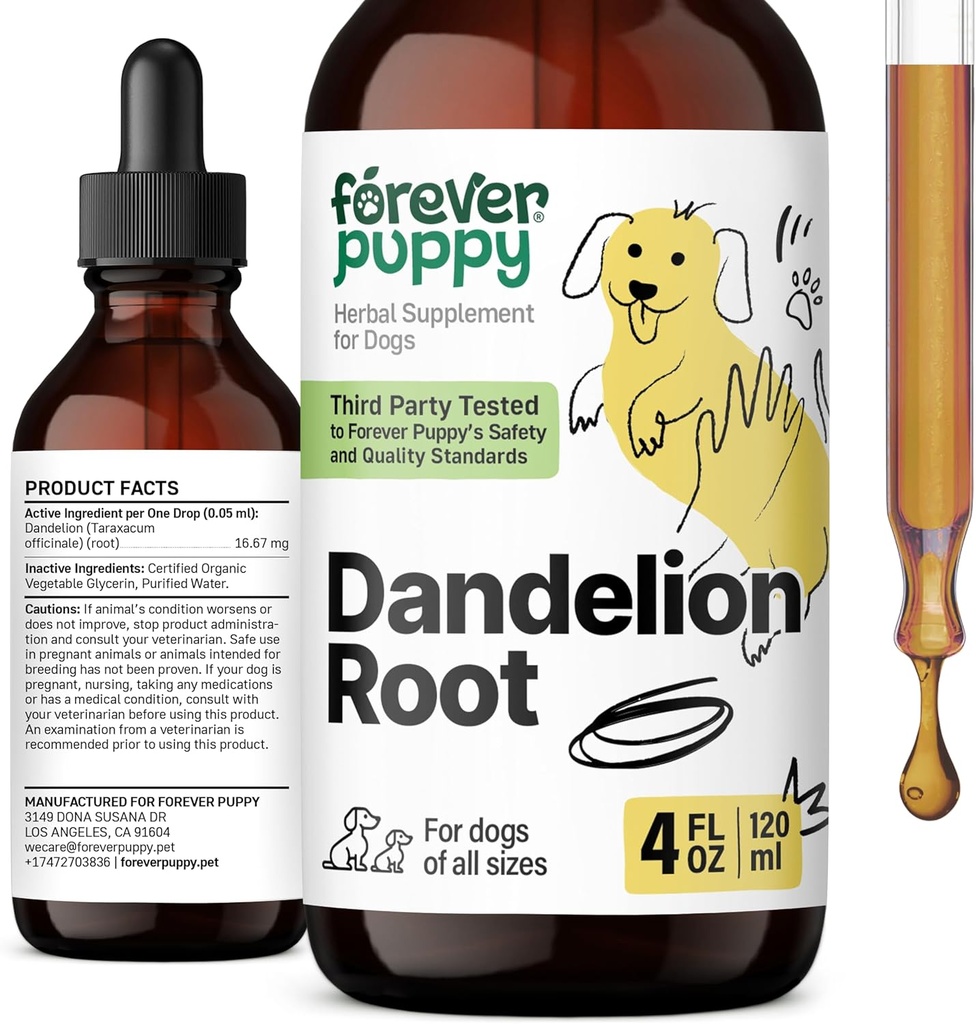 Des gouttes de racine de dandelion de chiots pour les chiens - Supplément pour la santé du foie liquide pour les chiens grands, moyens et petits - Nettoyer les gouttes de détox avec l'extrait de racine de dandelion - 4 oz