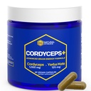 Cordyceps Mushroom Capsules - 1000mg Cordyceps Extract & 125mg Yerba Mate Extract - Supplément de champignons pour le corps 100% fruité - Soutient l'énergie cérébrale et la performance cognitive - 60 Yerba Mate Capsules