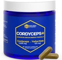 Cordyceps Mushroom Capsules - 1000mg Cordyceps Extract & 125mg Yerba Mate Extract - Supplément de champignons pour le corps 100% fruité - Soutient l'énergie cérébrale et la performance cognitive - 60 Yerba Mate Capsules