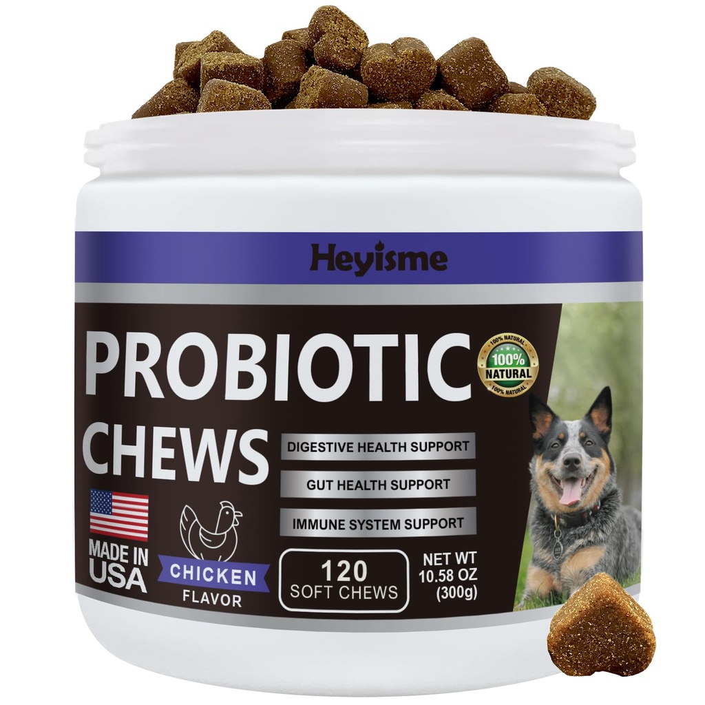 Probiotiques pour chiens, améliorer l'équilibre des levures, démangeaisons cutanées Oreilles, Gut Health, Allergies, immunité, probiotiques pour chiens et enzymes digestives avec prébiotiques - Réduire la diarrhée (Chicken, 120 Chews)