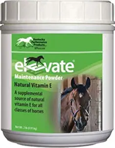 Kentucky Performance Prod 044097 Supplément de poudre d'entretien élevée pour chevaux, 2 lb