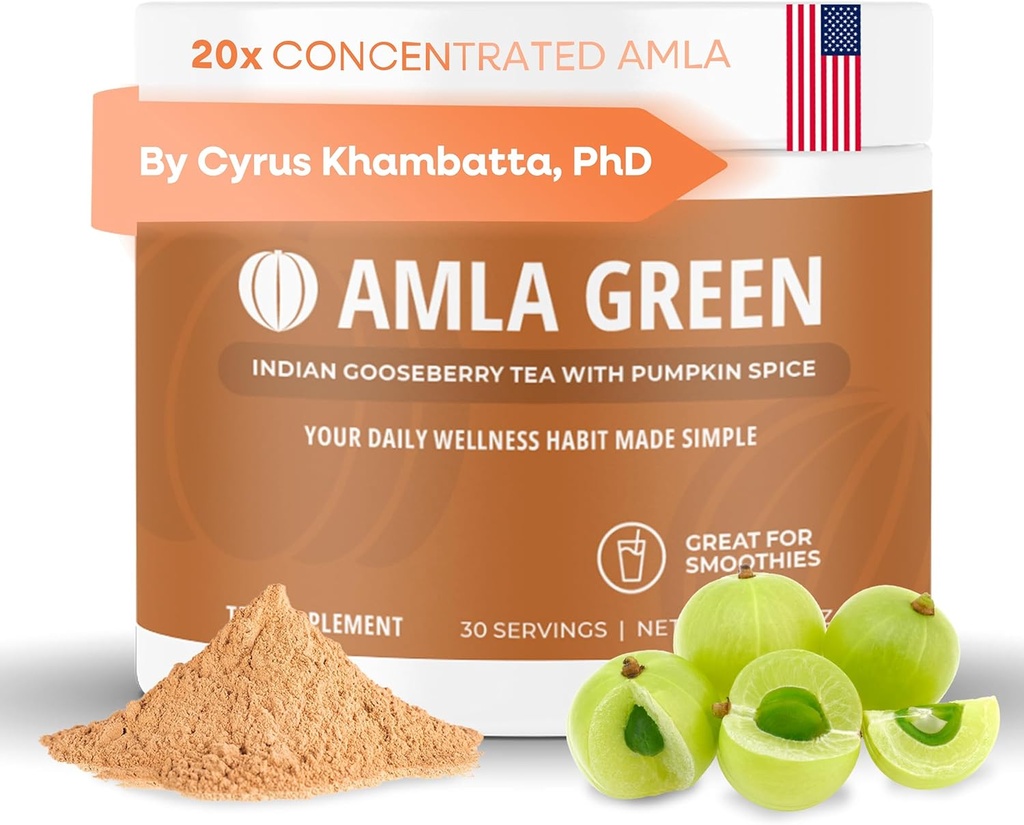 Supplément en poudre d'amla avec Spice de citrouille, 20x Amla ultra concentrée, faite avec cannelle, gingembre, noix de muscade, girofles, Allspice, cardamome, fraises indiennes, épices de citrouille, 30 portions