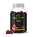Shilajit Gummies – Supplément de Shilajit d'Himalayan pur avec l'acide fulvic – 1000mg Natural Shilajit Pure Energy Support – Sans sucre Framboise Pastèque Saveur – Vegan, Non-OGM, Sans gluten – 60 Compte