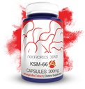 Dépot Nootropics KSM-66 Capsules Ashwagandha : 300 mg 180 Count : 180 Avec l'extrait de somnifera d'Ayurvedic Herb.