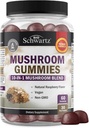 Gummies de champignons pour adultes - Supplément de champignons fonctionnels 10-en-1 pour l'humeur et le focus avec les lions Mane Turkey Tail Cordyceps Shiitake Reishi - Vegan, non-OGM, fraich Raspberry Flavor, 60 Comte