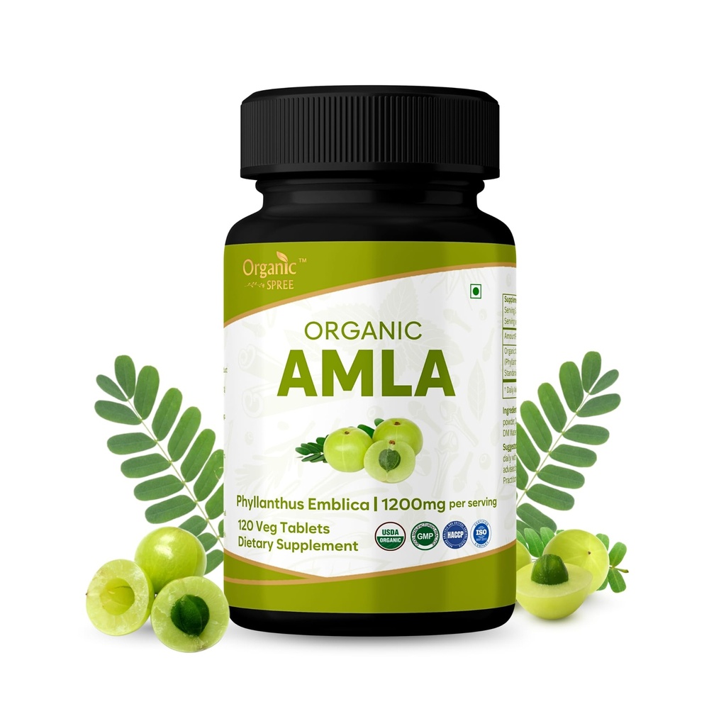 Comprimés Amla 120 – Gooseberry indien biologique USDA – Riche en vitamine C et soutient la santé immunitaire*