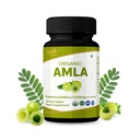Comprimés Amla 120 – Gooseberry indien biologique USDA – Riche en vitamine C et soutient la santé immunitaire*