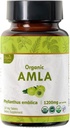 Comprimés Amla 120 – Gooseberry indien biologique USDA – Riche en vitamine C et soutient la santé immunitaire*
