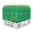Eau de chlorophylle – Liquid Chlorophylle 12-Pack (16,9 oz)