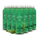 Eau de chlorophylle – Liquid Chlorophylle 12-Pack (16,9 oz)