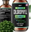 HERBIFY Chlorophyll Drops - Liquid Chlorophyll for Energy Boost & Immune System Support - Made in USA - Chlorophyll Liquid Drops for Body Detox, Internal Deodorant & Enhance Skin - 2 Oz