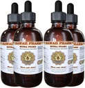 Muira Puama Extrait liquide, Muira Puama organique (Ptychopetalum Olacoides) Supplément de teinture 4x4 oz
