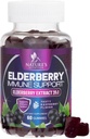 Gummies de soutien immunitaire des mûres aînées - Extrant Super Concentré 35:1, équivalent à 4200mg de mûres aînées - Sambucus Black Elder Berry supplément de vitamine, soutien quotidien pour les enfants et les adultes - 60 Gummies