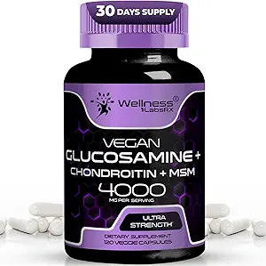 WELLNESS LABSRX Glucosamine Chondritine MSM - 4000mg - Glucosamine Chondritine Capsules - 120 Compte