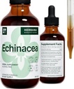 Echinacea 4 fl oz Extrait liquide - Racine organique, feuille, fleur, graine - supplément naturel à base de plantes - Corps, système immunitaire Teinture de soutien - gouttes de puissance élevée - approvisionnement de 90 jours - taille de la famille