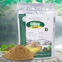 SVATV Giloy Powder | Guduchi | Tinospora cordifolia Stem Powder | Herbsl Supplement for Immune Support Digestion| Detoxification - 227g, 8oz, 0.5 Lbs