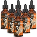 Drops complexes de champignons liposomiques 2000 MG - 20 extraits de champignons organiques - Formule liquide avancée pour l'immunité, la cognition et la mémoire - Supplément de la Mane des Lions, Reishi, Cordyceps, Chaga, 180 portions