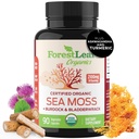 ForestLeaf Capsules de mousse de mer biologique irlandaise $ 2100mg Pilules de la mer crue Supplément avancé Superfood + Burdock, Bladderwrack pour la santé digestive, respiratoire, immunitaire $ 90 Vegan Organic Sea Moss Caps