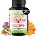 ForestLeaf Organic Irish Sea Moss Capsules | 2100mg Raw Seamoss Pills Advanced Supplement Superfood + Burdock, Bladderwrack for Digestive, Respiratory, Immune Health | 90 Vegan Organic Sea Moss Caps