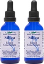 Eidon Liquid Silica Mineral Concentrate - Supplément Silica pour cheveux, peau et ongles, gouttes de Silica pour soutenir la production de collagène, pas de sucre ajouté - 2 oz, 2 pack