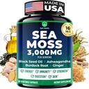 Sea Moss Black Seed Oil Ashwagandha Ginger - Capsules de mousse de mer irlandais avancé tout en un supplément avec Seamoss Black Seed Oil Ashwagandha Burdock Root Bladderwrack - Pills for Energy, Immune, Gut