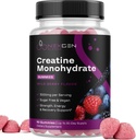 Gommies monohydratées de créatine sans sucre - Gommies de créatine végétalienne pour femmes et hommes avec 3000mg par 3 creatine Chews soutient l'énergie et la récupération - sans gluten et non-OGM - Farine de baie sauvage 90ct