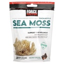 Force Factor Sea Moss Chews a Daily Wellness & Antioxydant Supporter un caramel salé (30 Chews doux)