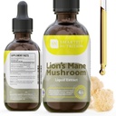 Extrait de la Mane de Lions - Teinture de la Mane de Lions - Fabriqué aux États-Unis - Supplément de Champignon pour la Mémoire, Focus & Clarity - Supplément de Champignon quotidien - 4 Fl oz.
