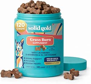 Supplément de canneberge en or massif pour chiens et chats pour la santé du trac urinaire - Berry Balance Chews UTI + Bladder + Rein Support pour chats et chiens avec antioxydants
