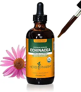 Extrait liquide d'échinacée biologique certifié Herb Pharm pour le système immunitaire, Glycérite sans alcool, 4 once