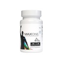 Max One, supplémentation de Ribocéine concentrée, 60 capsules végétales, 60 portions
