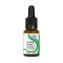Recherche santé gouttes de lactase - Supplément liquide avec la lactase enzymatique pour le soutien de l'intolérance laitière - Soutien de l'intolérance pour la digestion - Supplément enzymatique de lactase - 0,50 Fl oz, 52 portions