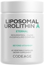Codeage Urolithine liposomique Supplément 500mg par portion + Résvératrol, Betaïne, CoQ10, Ellagitannines - Une nouvelle frontière au-delà de la NADH, NMN, NAD, NR et Vitamines PQQ - Biodisponible - 60 Capsules