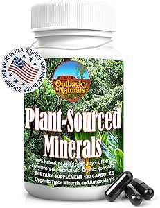 Mélange minéral humique fulvic des minéraux traces d'origine végétale, des électrolytes, du Gut Health, du soutien cognitif et immunitaire, de la formule de vitalité pure pour la force - - 120 capsules