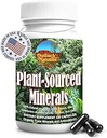 Mélange minéral humique fulvic des minéraux traces d'origine végétale, des électrolytes, du Gut Health, du soutien cognitif et immunitaire, de la formule de vitalité pure pour la force - - 120 capsules