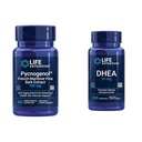 Prolongation de la durée de vie Extrait d'écorce de pin Maritime française avec bilan d'hormone DHEA - 60 capsules Pycnogenol et 100 capsules DHEA 25mg