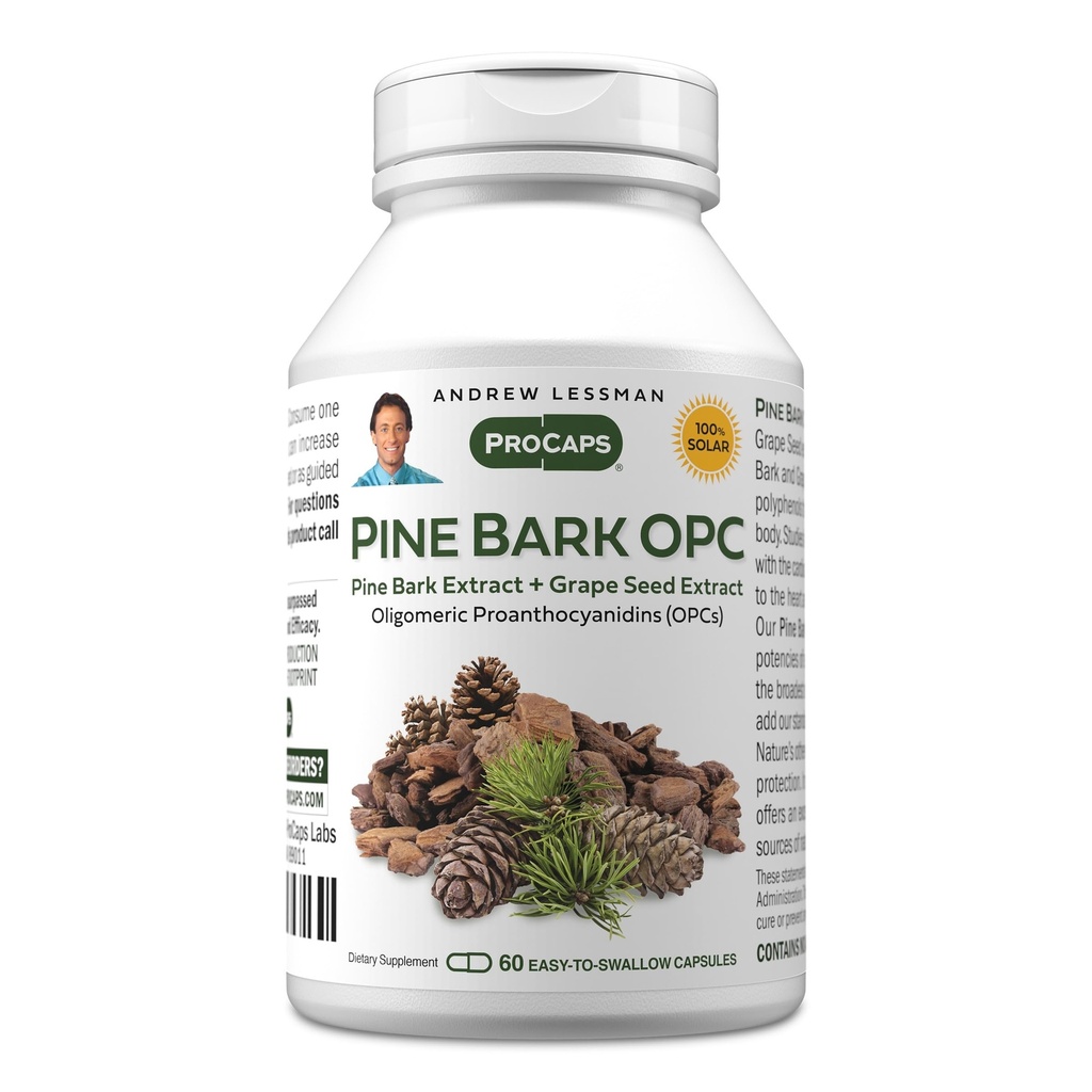 ANDREW LESSMAN Pine Bark OPC Anti-Oxidant Extraits 60 Capsules - Supporte les tissus et les systèmes d'organes pour neutraliser les radicaux libres, proanthocyanidines, puissant anti-oxydant, aucun additif
