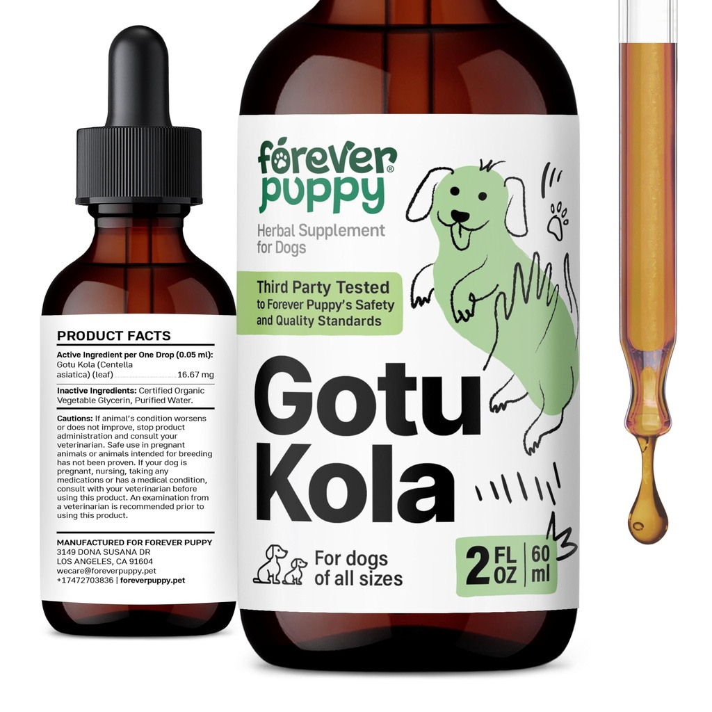 Pour toujours Puppy Gotu Kola gouttes pour chiens - Centella Asiatica & Gotu Kola Extrait pour le soutien de la santé cérébrale - Supplément Cerveau liquide pour chiens de toutes races et tailles - 2 oz