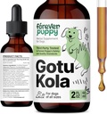 Pour toujours Puppy Gotu Kola gouttes pour chiens - Centella Asiatica & Gotu Kola Extrait pour le soutien de la santé cérébrale - Supplément Cerveau liquide pour chiens de toutes races et tailles - 2 oz