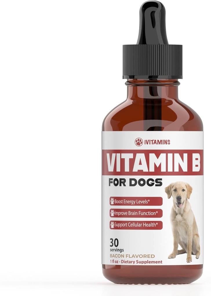 Vitamine B pour chiens Complexe Vitamine B pour chiens Complexe Vitamine B12 pour chiens Vitamines B12 Vitamines pour chiens Complexe Vitamine B pour chiens Complexe B12 pour chiens