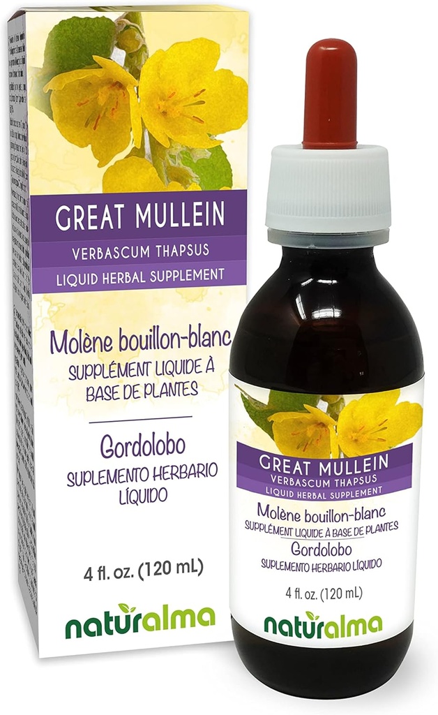 Naturalma Grande Mulléine ou Mulléine Commune (Verbascum thapsus) Fleur et feuille sans alcool Teinture - 4 fl oz Extrait liquide dans les gouttes - Supplément à base de plantes - Vegan