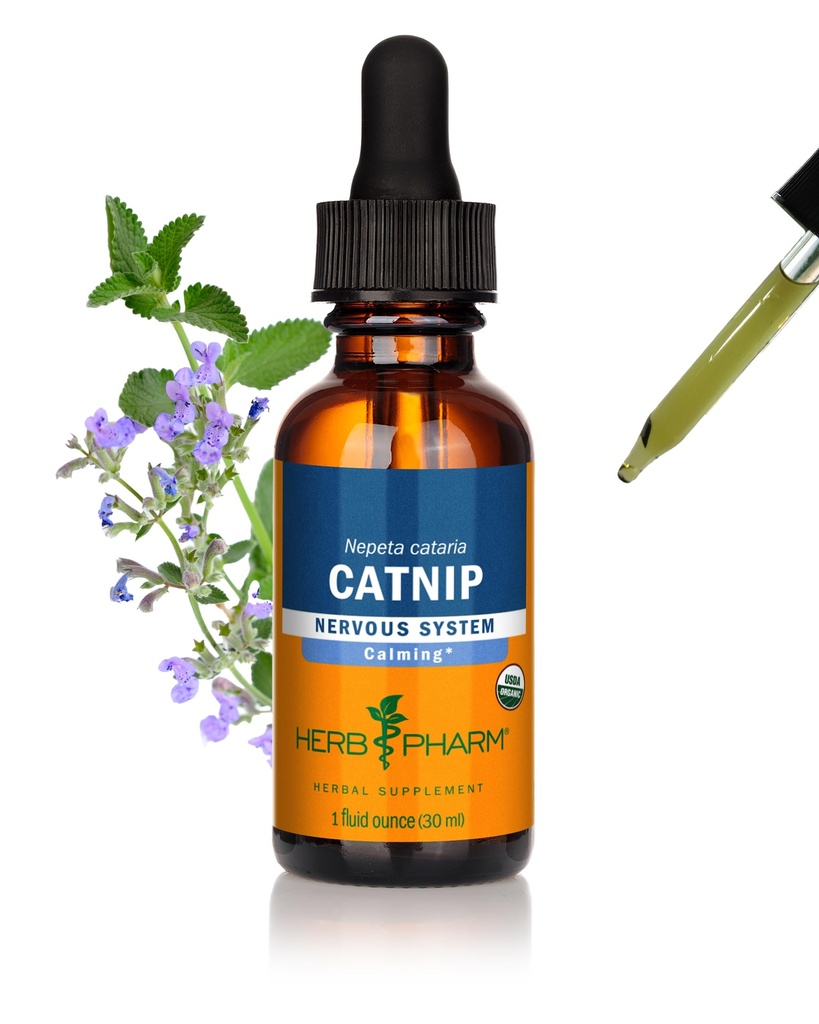 Extrait de liquide de panais biologique certifié Herb Pharm pour calmer le système nerveux, 1 Fl Oz