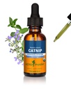 Extrait de liquide de panais biologique certifié Herb Pharm pour calmer le système nerveux, 1 Fl Oz