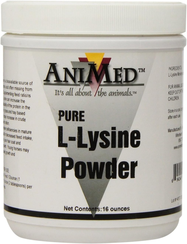 AniMed L-Lysine pour chevaux, 16-Ounce