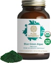 PURE SYNERGY Blue-Green Algae Powder | Superfood Powder with Chlorophyll | Organic AFA Blue Green Algae Supplement | Supports Energy, Mental Clarity, and Detoxification (3.2 oz.)